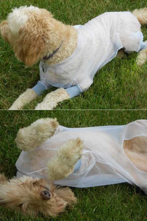 BugBaffler® Dog Protective Jacket - Image 2