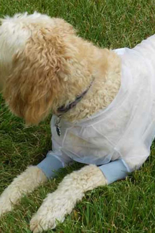 BugBaffler® Dog Protective Jacket - Image 3